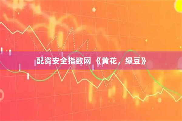 配资安全指数网 《黄花，绿豆》