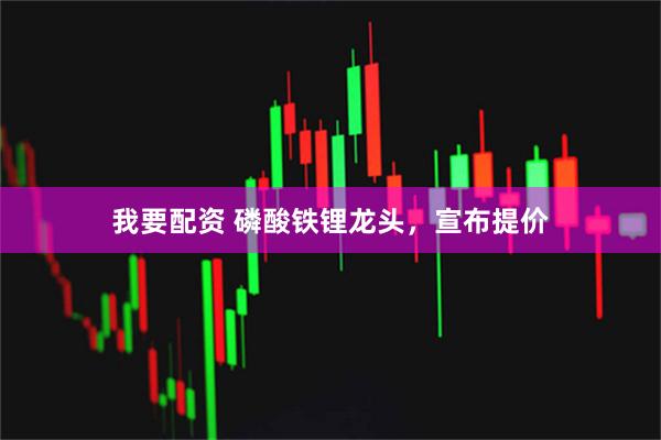 我要配资 磷酸铁锂龙头，宣布提价