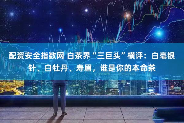 配资安全指数网 白茶界“三巨头”横评：白毫银针、白牡丹、寿眉，谁是你的本命茶