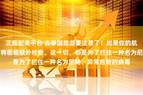 正规配资平台 去泰国旅游要注意了！如果你的航班来自印度，落地后将面临额外检查。这一切，都是为了拦住一种名为尼帕、异常危险的病毒