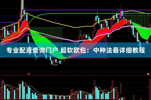专业配资查询门户 超软欧包：中种法最详细教程