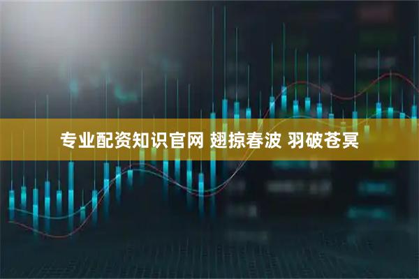 专业配资知识官网 翅掠春波 羽破苍冥